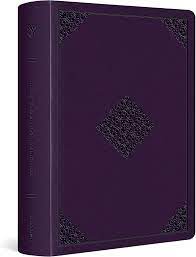 ESV JOURNALLING BIBLE LARGE PRINT