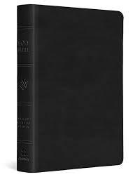 ESV LARGE PRINT COMPACT BIBLE BLACK