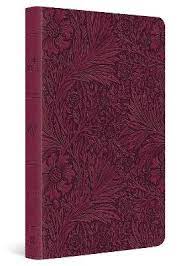 ESV LARGE PRINT VALUE THINLINE  BIBLE 