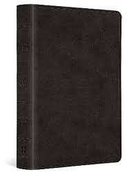 ESV LARGE PRINT VALUE COMPACT BIBLE BLACK