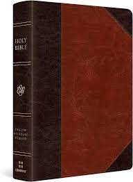 ESV READERS BIBLE