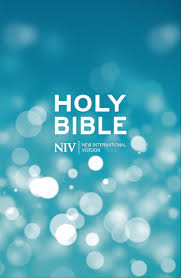 NIV POPULAR BIBLE ECONOMY PACK OF 20