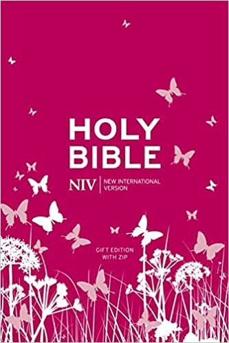 NIV POCKET BIBLE WITH ZIP