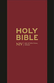 NIV POCKET BIBLE WITH ZIP