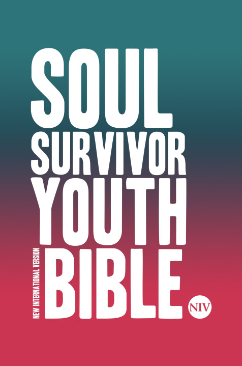 NIV SOUL SURVIVOR YOUTH BIBLE HB