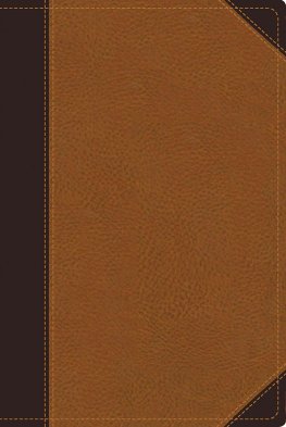 NIV ZONDERVAN STUDY BIBLE PERSONAL SIZE