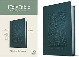 NLT THINLINE REFERENCE BIBLE FILAMENT EDITION