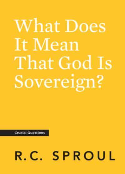 WHAT DOES IT MEAN THAT GOD IS SOVEREIGN?