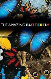 THE AMAZING BUTTERFLY TRACT PACK OF 25