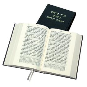 HEBREW BIBLE