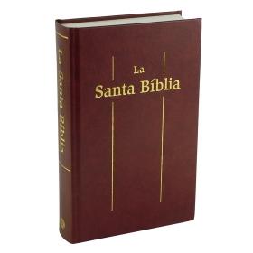 CATALAN LARGER PRINT BIBLE