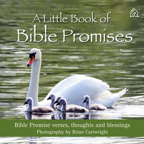 LITTLE BOOK OF BIBLE PROMISES HB