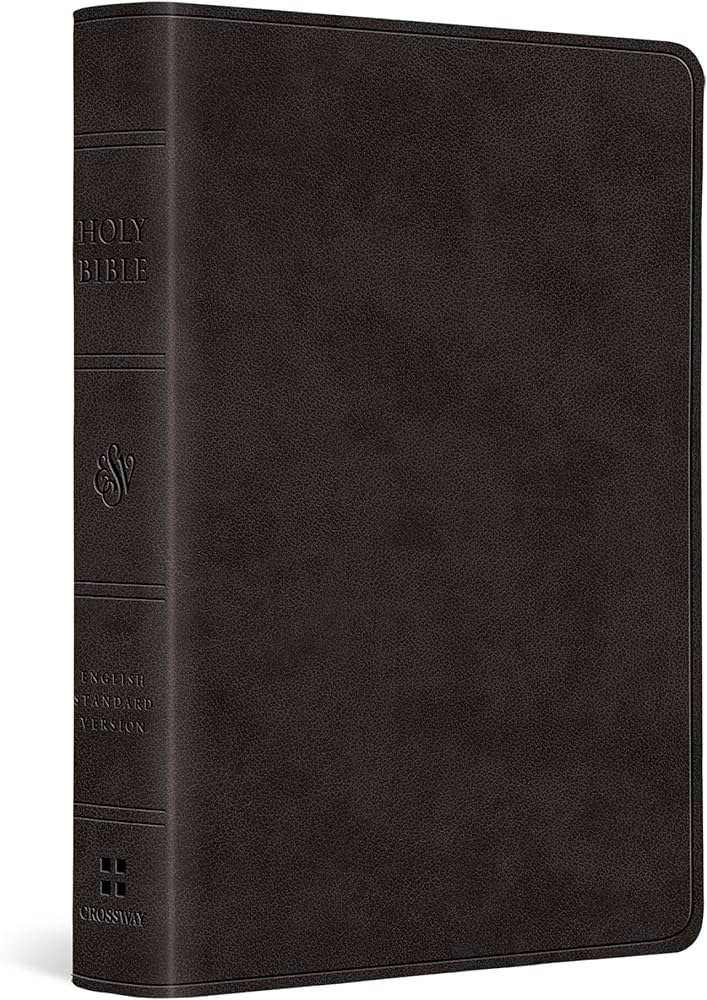 ESV LARGE PRINT COMPACT BIBLE BLACK