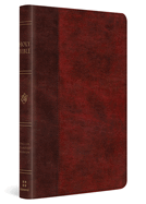 ESV LARGE PRINT THINLINE BIBLE