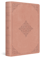 ESV DYSLEXIA FRIENDLY BIBLE