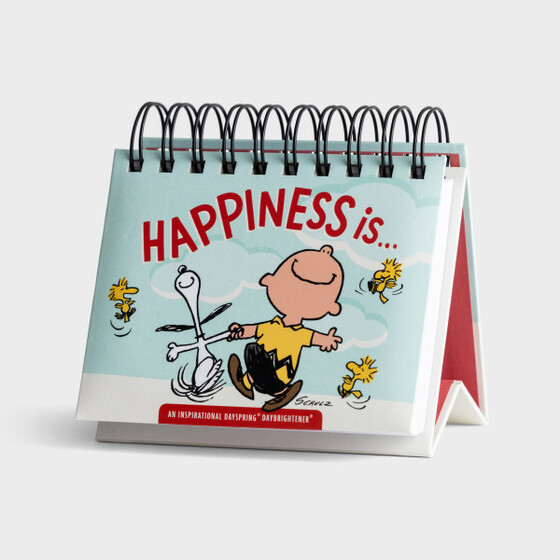 HAPPINESS IS DAYBRIGHTENER