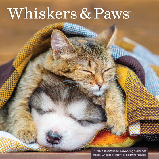 WHISKERS AND PAWS SMALL WALL CALENDAR 2026