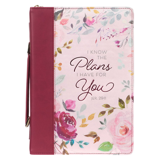 PLANS BIBLE CASE