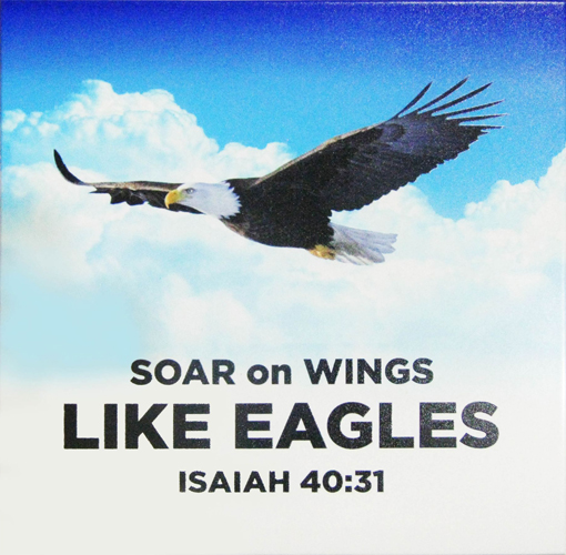 LIKE EAGLES WALL PLAQUE