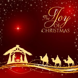 CHRISTMAS JOY CHRISTMAS CARDS PACK OF 10 