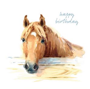 HAPPY BIRTHDAY STABLE DOOR CARD