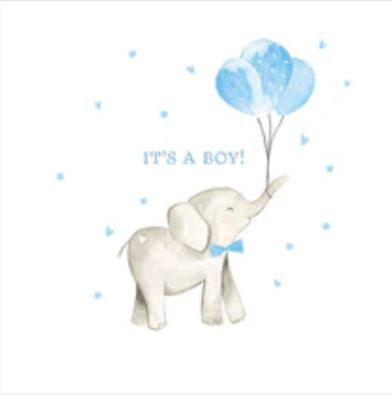 ITS A BOY ELEPHANT 