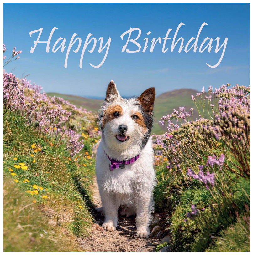 BIRTHDAY CARD JOY