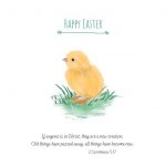 HAPPY EASTER CHICK PACK OF 10 EASTER CARDS