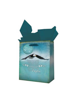 EAGLES SMALL GIFT BAG