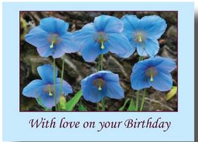 WITH LOVE BIRTHDAY GREETINGS CARD