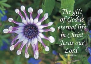 THE GIFT OF GOD BLANK CARD