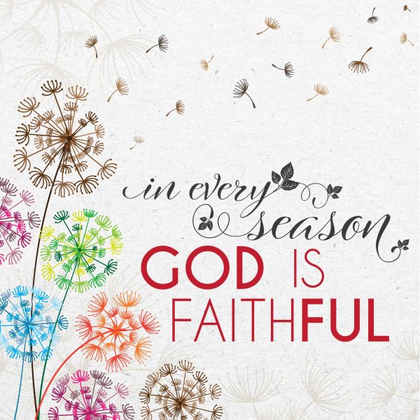 GOD IS FAITHFUL SEEDED GREETING CARD