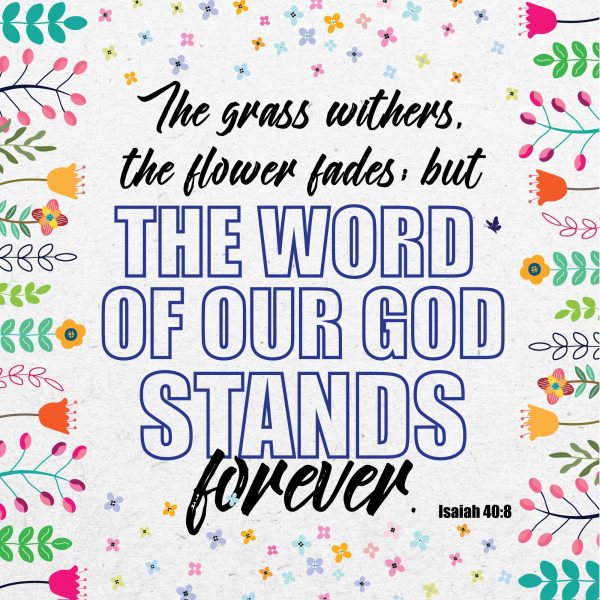 WORD OF GOD SEEDED GREETING CARD