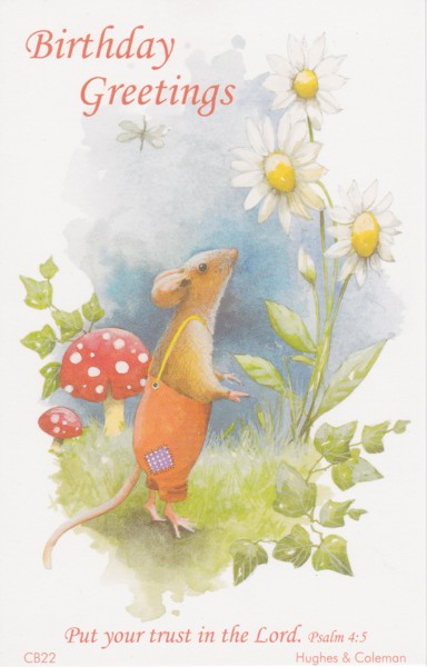BIRTHDAY POSTCARD PACKET FIELD MOUSE PACK OF 12