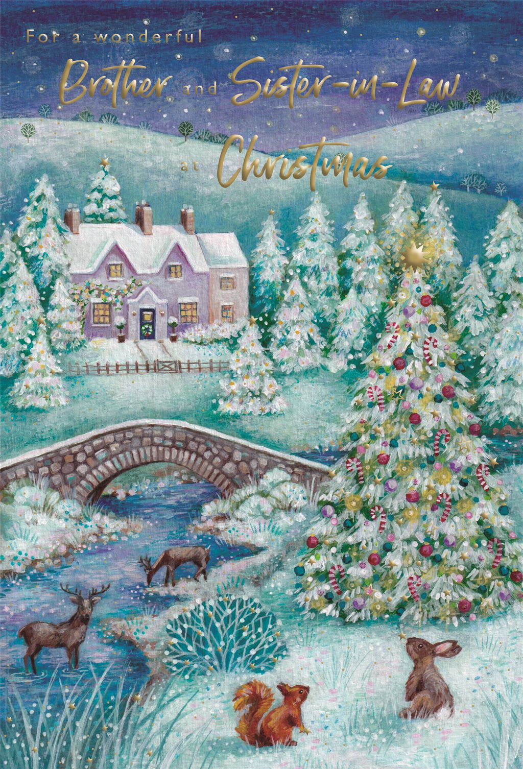 BROTHER AND SISTER IN LAW CHRISTMAS CARD
