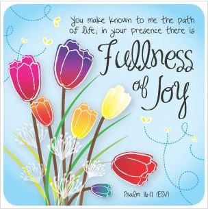 FULLNESS OF JOY COASTER