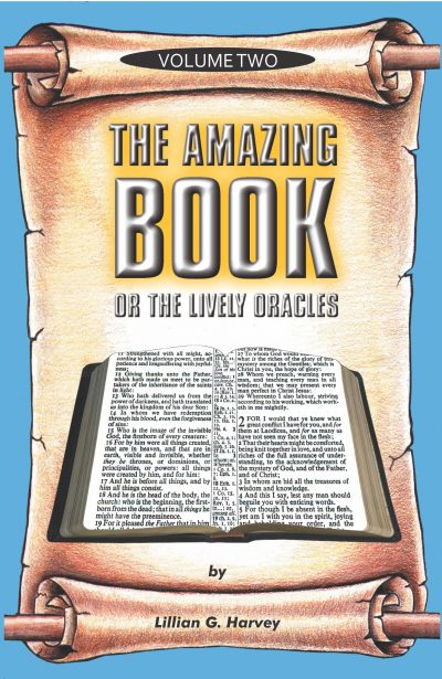 THE AMAZING BOOK VOLUME 2