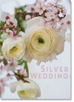 SILVER WEDDING ANNIVERSARY CARD SILVER WEDDING ANNIVERSARY CARD