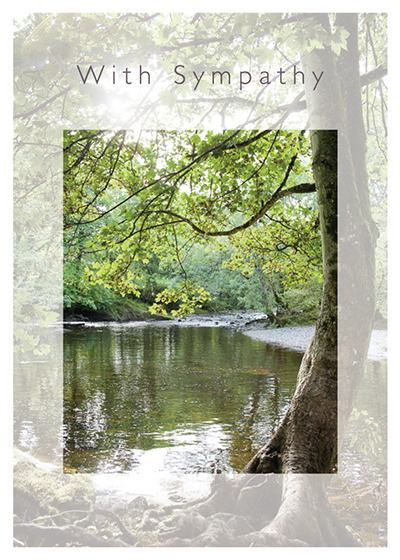 SYMPATHY TREES GREETING CARD