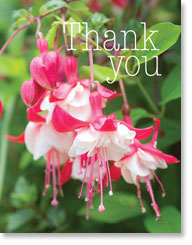 THANK YOU PETITE CARD THANK YOU PETITE CARD
