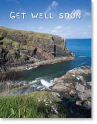 GET WELL PETITE CARD