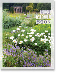 GET WELL PETITE CARD