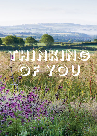 THINKING OF YOU GREETINGS CARD