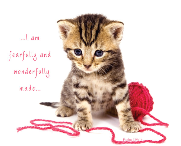 KITTEN & WOOL: PSALM 139:14