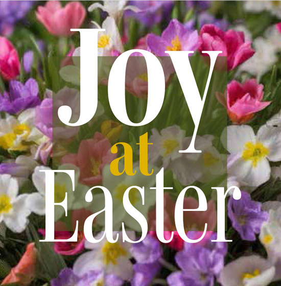 JOY AT EASTER EASTER CARDS PACK OF 5