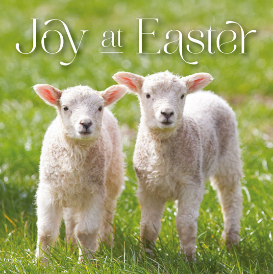 JOY AT EASTER EASTER CARDS PACK OF 5