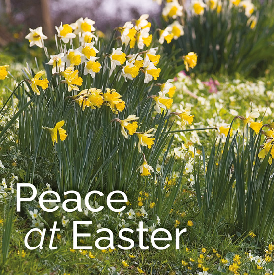 PEACE AT EASTER EASTER CARDS PACK OF 5