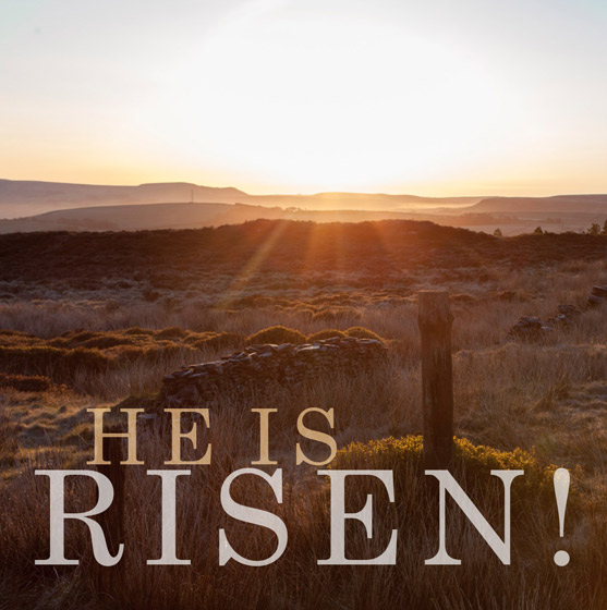 HE IS RISEN EASTER CARDS PACK OF 5