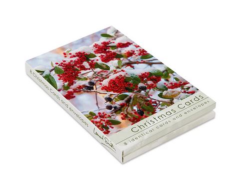 BERRIES CHRISTMAS CARDS PACK OF 8