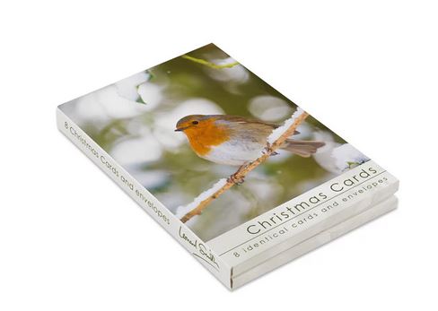 ROBIN CHRISTMAS CARDS PACK OF 8 